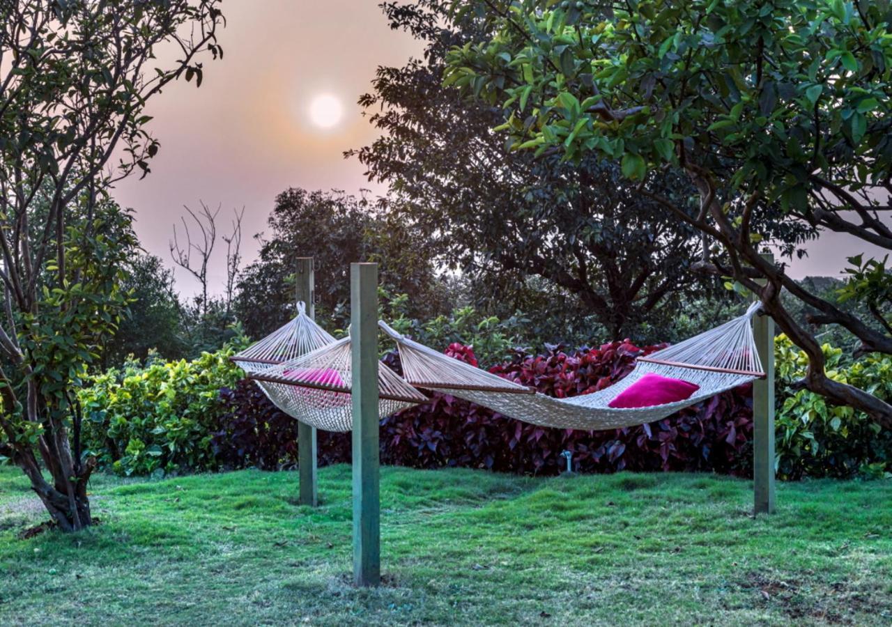 Saffronstays Aatman Tents - Glamping With Al-Fresco Dining Mahābaleshwar Kültér fotó